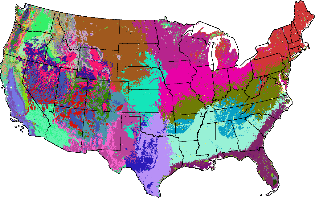 The 100 Most-Different Ecoregions