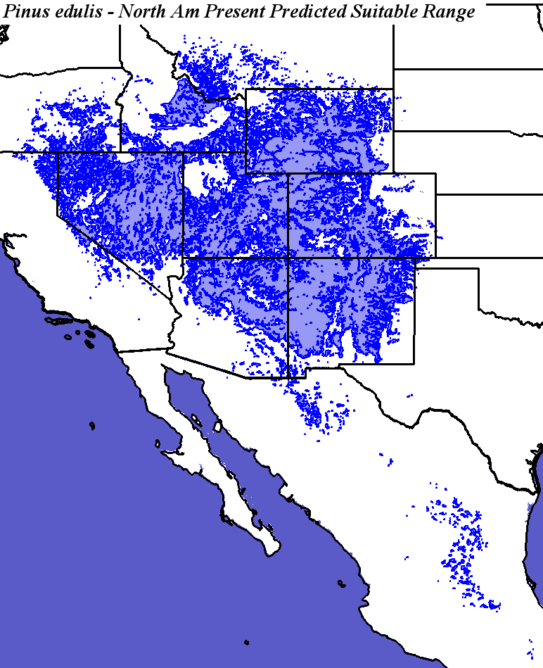 Home Range Shifts for Pinus_edulis Predicted Under Climatic Change