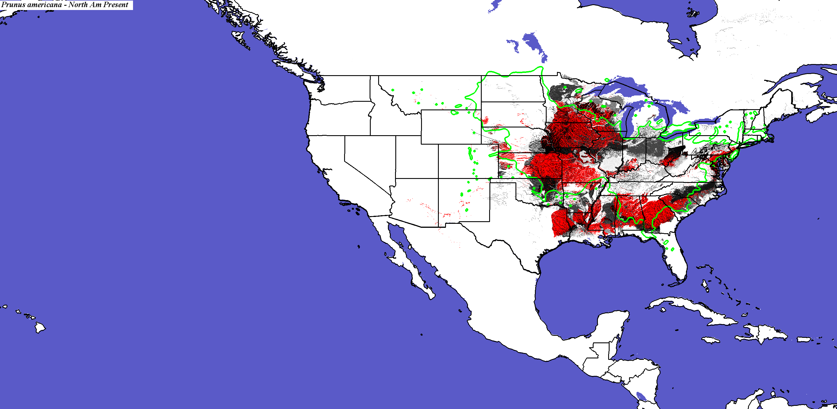 Home Range Shifts for Prunus_americana Predicted Under Climatic Change